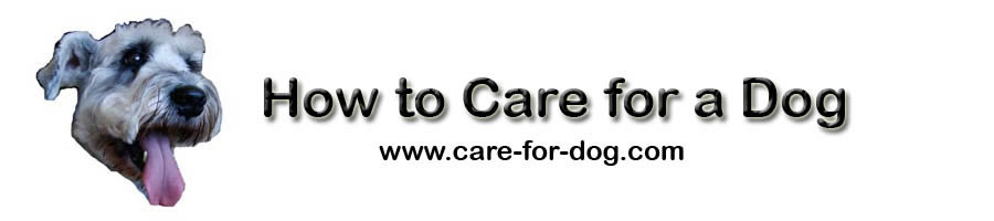 How to Care for a Dog: The Complete Guide
