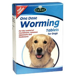 canine worms medicine